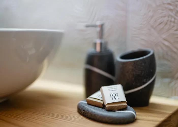 Bed and Breakfast Sofija 3*